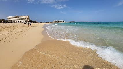 playas gay fuerteventura|Fuerteventura: Descubre las Playas Gay más。